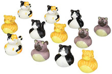 Load image into Gallery viewer, Fun Express Vinyl Cat Rubber Duckies (1 Dozen)
