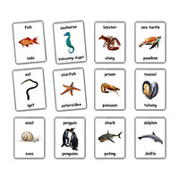 Sea Animals Flash Cards - 26 Laminated Flashcards | Ocean Animals | Water Animals | Homeschool | Multilingual Flash Cards | Bilingual Flashcards - Choose Your Language (Filipino + English)