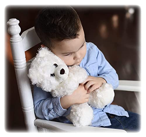 Unique Children's Sympathy Gift for Grieving Child Stuffed Animal Angel Bear Plush and Condolences Card Funeral Memorial Comfort Children for Loss of Loved One