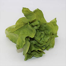 Load image into Gallery viewer, Just Dough It Fake Head of Lettuce
