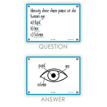 Load image into Gallery viewer, Oxford Flash 2.0 Pack of 80 Flash Cards a6 Turquoise
