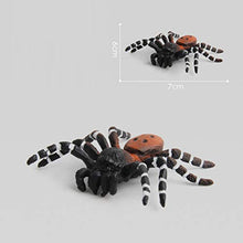 Load image into Gallery viewer, PRETYZOOM 4 Piece Simulation Spider Plastic Insect Model Toy Fake Spiders Creepy Lifelike Spiders Horror Decorations Prank Props for Halloween Party Favors
