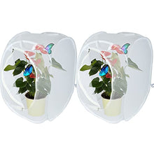 Load image into Gallery viewer, YUCAN Insect and Butterfly Habitat Cage, Terrarium with Pop-up Design, for Nature Observation, Butterflies and Insects Raising, etc. (Pack of 2) (4040602 White)
