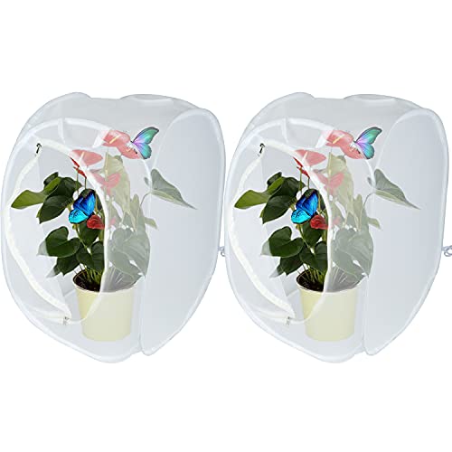 YUCAN Insect and Butterfly Habitat Cage, Terrarium with Pop-up Design, for Nature Observation, Butterflies and Insects Raising, etc. (Pack of 2) (4040602 White)