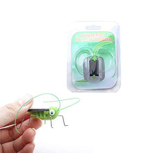 Load image into Gallery viewer, N Meng259 New 1 PCS Children Baby Solar Power Energy Insect Grasshopper Cricket Kids Toy Gift Solar Novelty Rum Toys Pop A (Color : Green)
