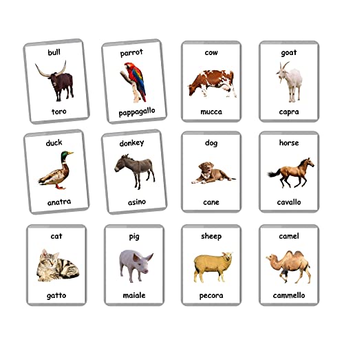 Farm Animals Flash Cards - 27 Laminated Flashcards | Homeschool | Montessori Materials | Multilingual Flash Cards | Bilingual Flashcards - Choose Your Language (Italian + English)