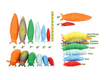 Load image into Gallery viewer, Fidget Slug Articulating Stim Toy | 141 Different Combinations of Size and Colors Like Glow, Heat Changing, etc. (Rainbow, 4&quot; Small)
