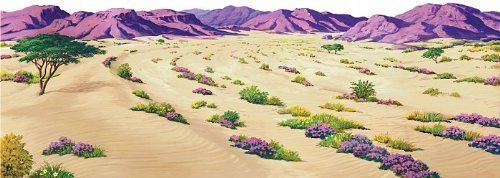Desert Overlay Large Felt for 32