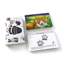 Load image into Gallery viewer, Animal Tracks Game Animal Flash Cards for Kids Ages 4-8 Preschool Learning Toys for 4 Year Old
