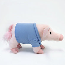 Load image into Gallery viewer, GUND Everyday Signature Pop Mini Pig Stuffed Animal Plush, 11&quot;
