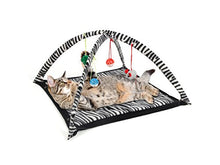 Load image into Gallery viewer, Delry Cat Play Tent (Available in a Pack of 1)
