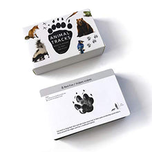 Load image into Gallery viewer, MEROCO Forest Animal Track Game Flash Cards
