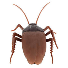 Load image into Gallery viewer, Realistic Black Ant Plastic 5.5 x 3.5 x 1.4in Joke Tricky Toys, Tricky Toy, for Birthday Party for Halloween Party(Cockroach)
