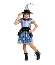 Load image into Gallery viewer, Hyde and Eek! Boutique Girls&#39; Iridescent Witch Halloween Dress Up Costume Dress with Hat (Large, Iridescent)
