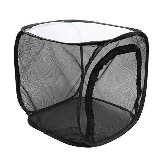 NUOBESTY Insect Cage Foldable Portable Bug House Butterfly Habitat for Children Learning