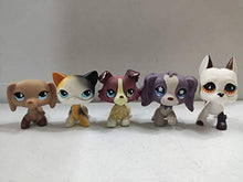 Load image into Gallery viewer, 5 lot Littlest Pet Shop LPS Great Dane Dog Dachshund Dog Collie Cat Kitty Figure Toys Rare
