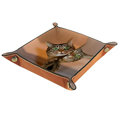 Dice Tray Cat Animal Dice Rolling Tray Holder Storage Box for RPG D&D Dice Tray and Table Games, Double Sided Folding Portable PU Leather