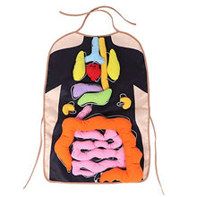 Load image into Gallery viewer, LZKW Preschool Teaching, Easy to Clean Fashionable 3D Organ Apron, Children Kids
