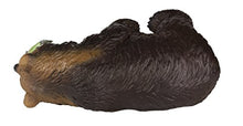 Load image into Gallery viewer, Safari Ltd Wild Safari North American Wildlife Grizzly Bear
