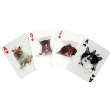 Load image into Gallery viewer, Kikkerland Playing Cards, Cat Lenticular
