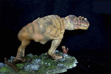 Load image into Gallery viewer, ITOY Ceratosaurus Dinosaur Model Toy Collectable Art Figure
