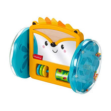 Load image into Gallery viewer, Fisher-Price Play &amp; Crawl Hedgehog Mirror
