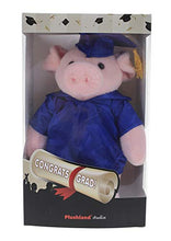Load image into Gallery viewer, Plushland Pig Plush Stuffed Animal Toys Present Gifts for Graduation Day, Personalized Text, Name or Your School Logo on Gown, Best for Any Grad School Kids 12 Inches(Navy Cap and Gown)
