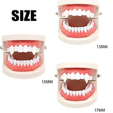 Load image into Gallery viewer, Dropower 4pairs Vampire Fangs Teeth with Adhesive Included Storage Halloween Plastic Fake Tooth Cosplay Party Props Favors for Women Men
