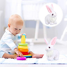 Load image into Gallery viewer, KESYOO 1Pc Easter Basket Printed Rabbit with Plush Tail Party Background Decoration
