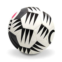 Load image into Gallery viewer, Daball Kid and Toddler Soccer Ball - Size 1 and Size 3, Pump and Gift Box Included (Size 1, Happy, The Zebra)
