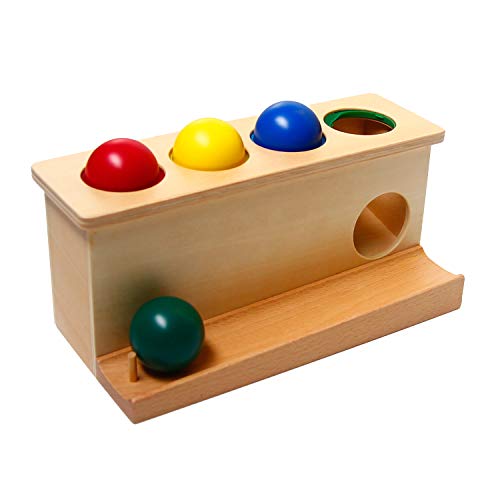 LEADER JOY Montessori Toddlers Wooden Push Ball Toys Baby Preschoolers Toys Push Toys