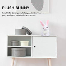 Load image into Gallery viewer, KESYOO 1Pc Easter Basket Printed Rabbit with Plush Tail Party Background Decoration
