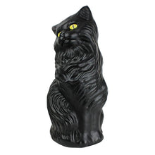 Load image into Gallery viewer, HLWN BLOWMLD CAT BLK17&quot;
