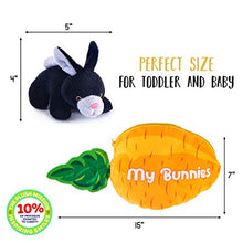 Load image into Gallery viewer, My Bunnies Plush Toy Set | Includes 4 Talking Fluffy Rabbits | Gray, Tan, Pink, and Black Bunnies with A Plush Carrot Shaped Carrier | Great Gift for Baby and Toddler Girls or Boys
