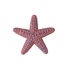 Load image into Gallery viewer, Factory Direct Craft Package of 12 Micro Miniature Starfish for Holiday Crafts Decorating and Displaying
