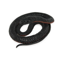 Science and Nature 75471 Australian Red-Bellied Black Snake - Animals of Australia Realistic Toy Replica