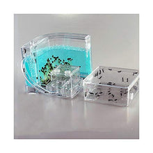 Load image into Gallery viewer, LLNN Insect Villa Acryl Ant Farm DIY Nest, Ant Farm Habitat - Great Gift for Kids and Adults - with Eatable Blue Gel Nutrition Insect Cages 7.6x4.3x4.3 in Festival Birthday Gift
