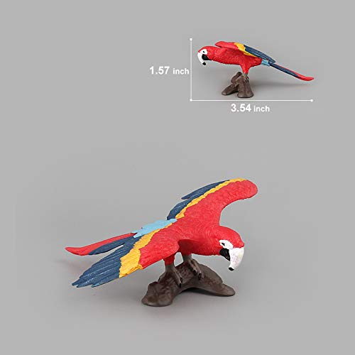 Warmtree Simulated Macaws Kingfisher Blue-Footed Booby Model Realistic –  ToysCentral - Europe