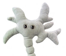 Load image into Gallery viewer, Giant Microbes Brain Cell (Neuron) Plush Toy
