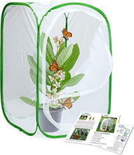 Load image into Gallery viewer, RESTCLOUD 24&quot; Insect and Butterfly Habitat Monarch Butterfly Enclosure for Caterpillars Pop Up 24 Inches Tall Pack of 2
