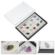 Load image into Gallery viewer, BESPORTBLE Rocks and Minerals Kit 15 Mini Energy Gemstone Natural Crystals Specimen Teaching Samples for Home and School Educational Tools
