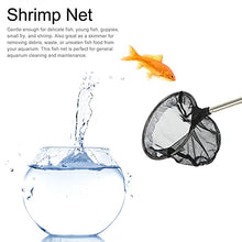 Load image into Gallery viewer, Toddmomy 3 Pack Telescopic Butterfly Net Fishing Nets Great for Catching Insects Fishing Outdoor Toys for Kids Garden Lawn Playing (Random Color)
