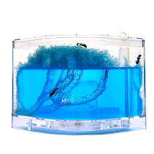 Load image into Gallery viewer, NAVAdeal Ant Farm Castle, Habitat Educational &amp; Learning Science Kit Toy for Kids &amp; Adults - Allows Study of The Behavior of Ants and Social Structure, Ecosystem Within The 3D Maze of Translucent Gel
