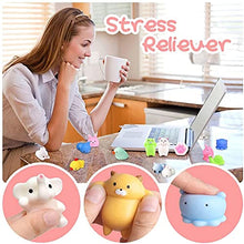 Load image into Gallery viewer, 32 PCS Mochi Squishy Toys Mini Kawaii Stuff for Kids Small Animals Squishies Pack Fidget Toys Filled with Clear Box
