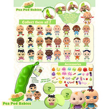 Load image into Gallery viewer, Thin Air Brands Pea Pod Babies Bundle (Set of 2) - Collectible Mystery Surprise Toys with Mini Baby, Clothing, &amp; Accessories - All in A Soft Pea Pod - Small Doll for Boys &amp; Girls Ages 3+
