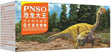 Load image into Gallery viewer, Lana Toys PNSO Yangchuanosaurus Microraptor Gigantoraptor Figure Realistic Prehistoric Dinosaur PVC Collector Toys Art Animal Model Decoration Gift for Adult
