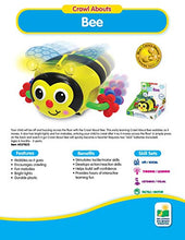 Load image into Gallery viewer, The Learning Journey Early Learning - Crawl About Bee - Crawling Toys for Babies 6-12 Months - Bright Lights and Fun Melodies - Award Winning Toys

