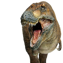 Load image into Gallery viewer, FloZ PNSO Dinosaurs Wilson Tyrannosaurus REX 1/35 Scientific Art Model
