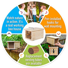Load image into Gallery viewer, Rivajam Build a Bee House DIY Woodworking Project | Solitary Mason Bee House Nesting Box Wood Building Kit &amp; Tools | Garden Arts &amp; Crafts Activities for Toddler Boys &amp; Girls Kids Teens Adults &amp; Family
