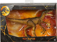 Load image into Gallery viewer, Jurassic World Toys Amber Collection Velociraptor Dinosaur Figure Collectible Toy 6-in Scale, Posable Joints, Authentic Look &amp; Stand for 8 Years Old &amp; Up
